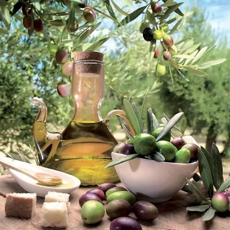 Appartement Exceptionnel !!! Venez Sejourner Dans Les 3 D'un Authentique Ancien Palace De La 