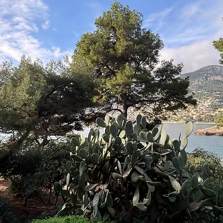 Apartment Belle époque Palace Suites: Seaside Elegance In Menton