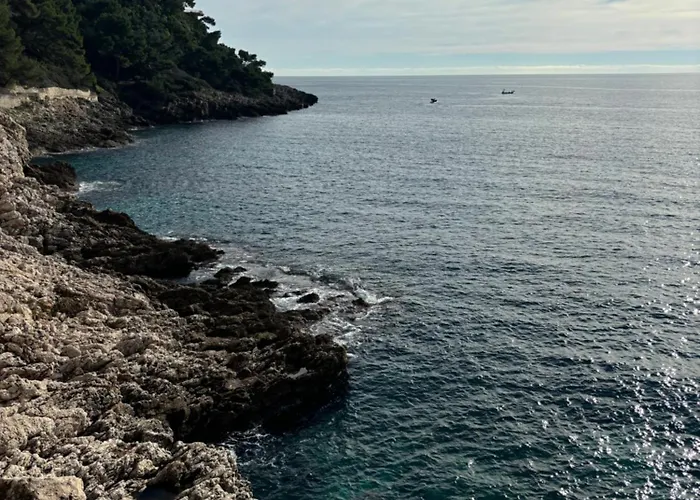 Exceptionnel !!! Venez Sejourner Dans Les 3 D'un Authentique Ancien Palace De La 